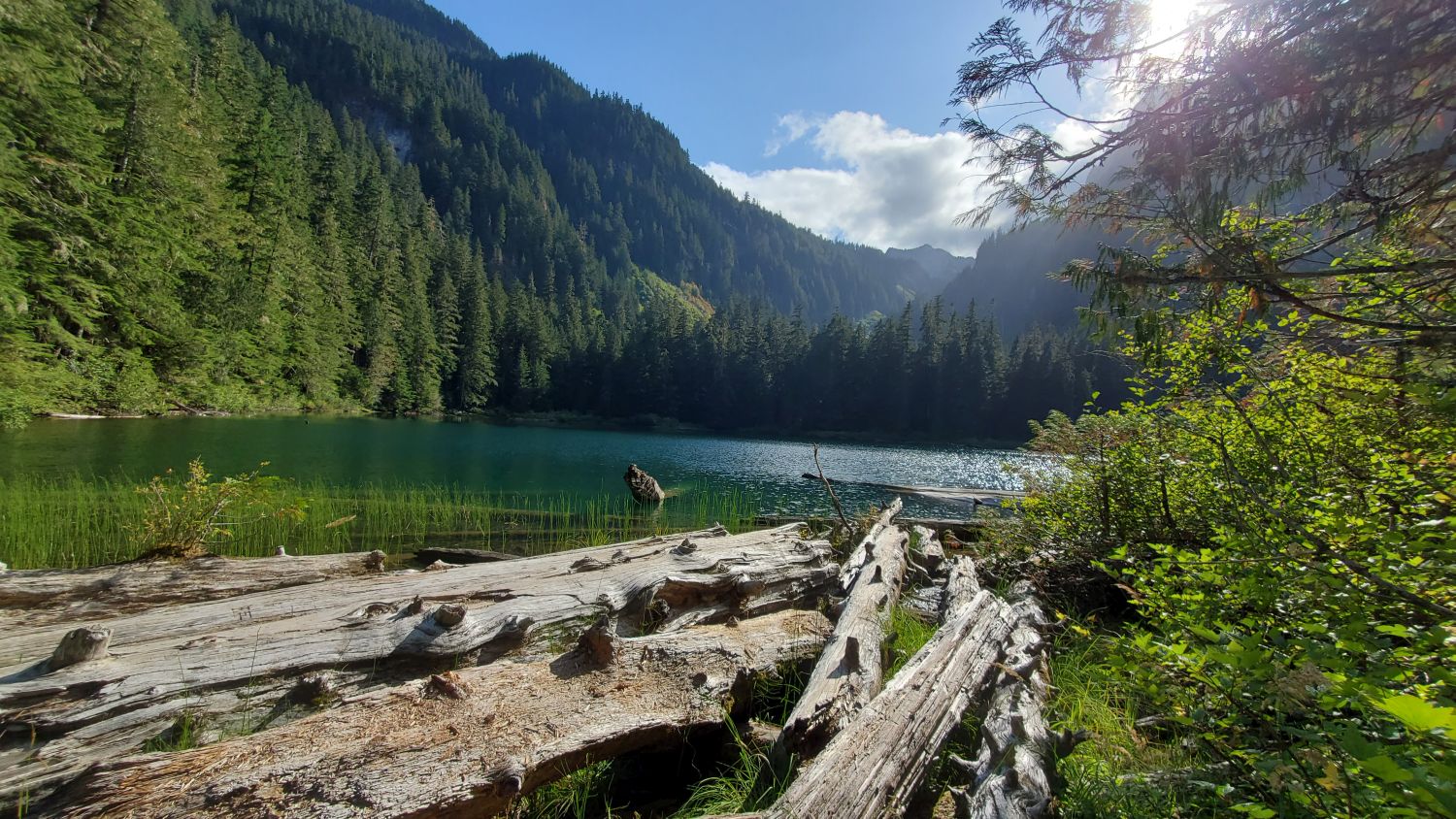 Mount Rainier NP 